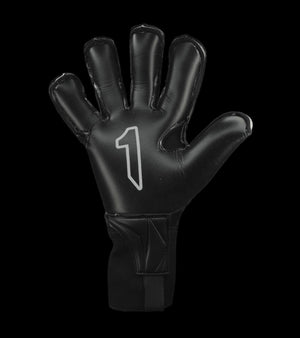 RINAT SANTOLOCO PRO