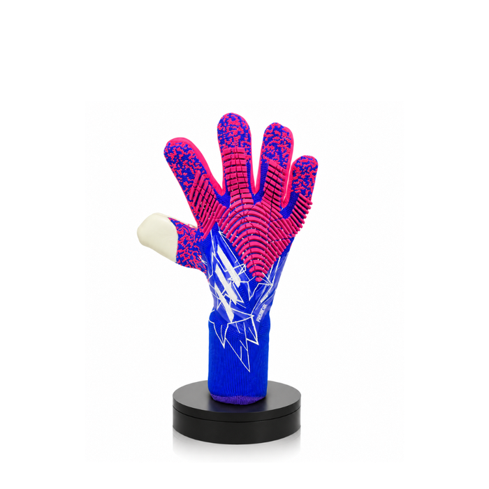 Gants de Gardien Pro Color Elite