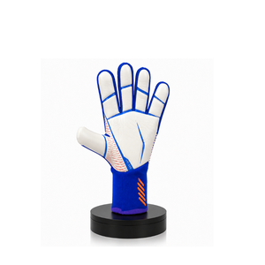 Gants de Gardien Elite Force Grip