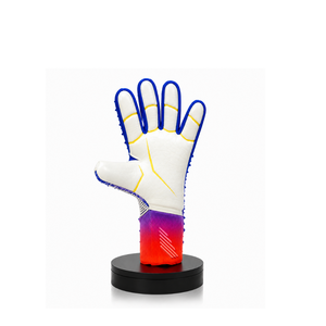 Gants de Gardien Elite Grip Pro