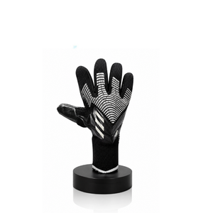 Gants de Gardien Pro